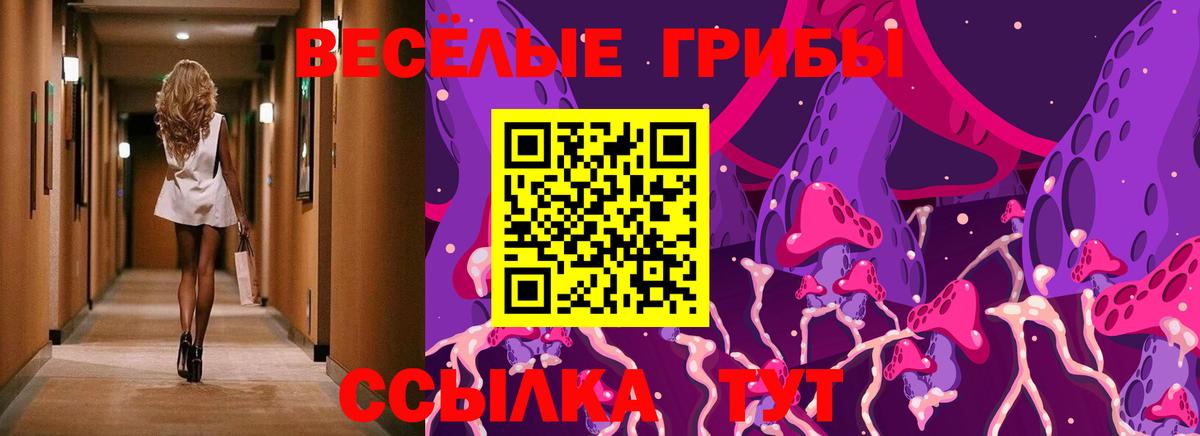 Псилоцибиновые грибы GOLDEN TEACHER Елабуга