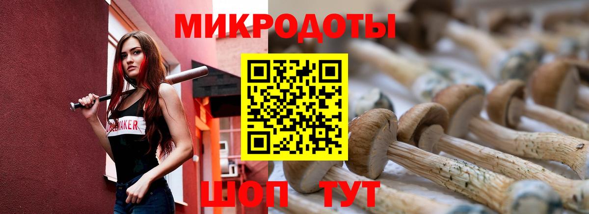 Галлюциногенные грибы Magic Shrooms  Вход с VPN  Псилоцибиновые грибы GOLDEN TEACHER  Елабуга 